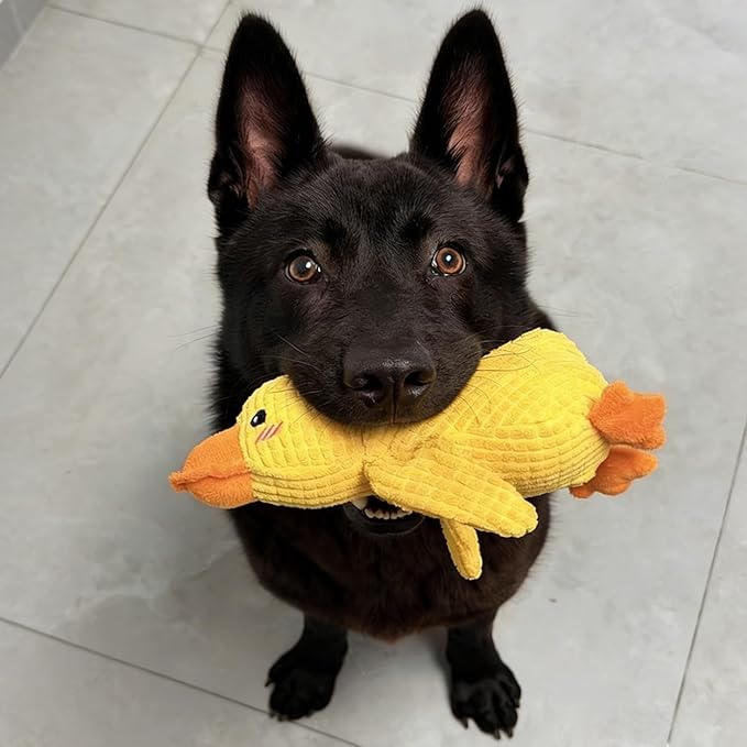 Durable Quacking Duck Dog Toy - Interactive Plush Chew Toy for Anxiety Relief & Fun Play with Cats & Dogs, Pets Only (Yellow, Medium)