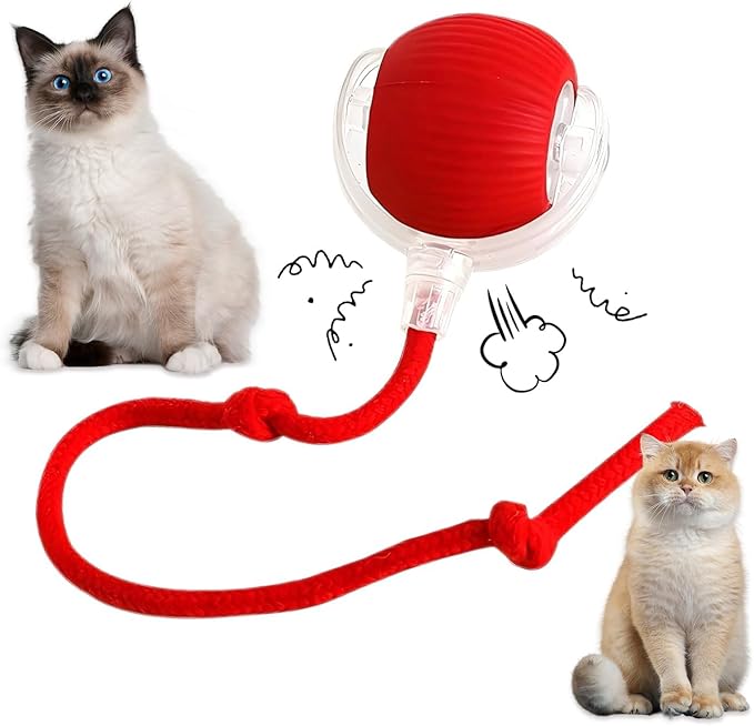 360°Interactive Rolling Cat Ball - Automatic Chew Toy for Active Cats & Small Dogs, Smart Fast Rolling Pet Toy (Green)