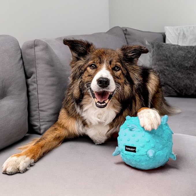 Playology Dog Toys | Puppy Toy Plush Sensory Ball for Dogs and Puppies | Jumbo Peanut Butter Scented Toy - Easy to Clean and Made from Non Toxic Materials