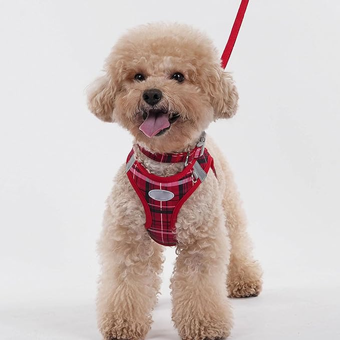 GLOGLOW Pet Supplies Voyager Step in Air Harness Soft Light Puppy Vest Breathable Mesh Pet Harness Strap for Dogs Cats Secure with Easy Control Handle (L)