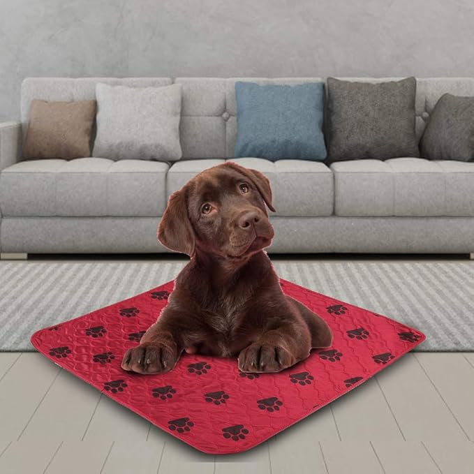 Reusable Dog Pee Pad, Absorbent Pet Urine Mat for Dogs and Cats, 4 - Layer Machine Washable Mat with Barrier for Hard Floors, Print Design in (70 * 80cm)