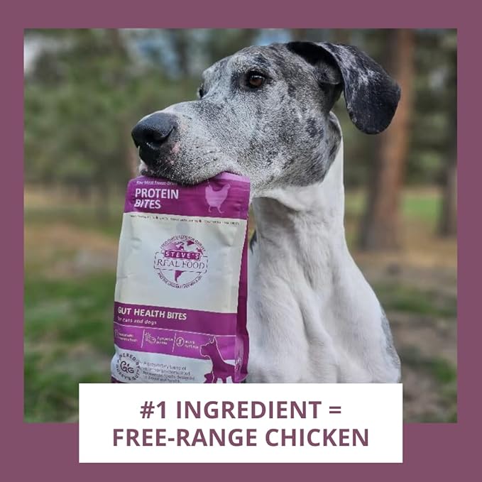 Steve's Real Food Protein Bites Gut Health Treats - Freeze-Dried Pet Treats for Cats and Dogs - Chicken Recipe - 4 oz