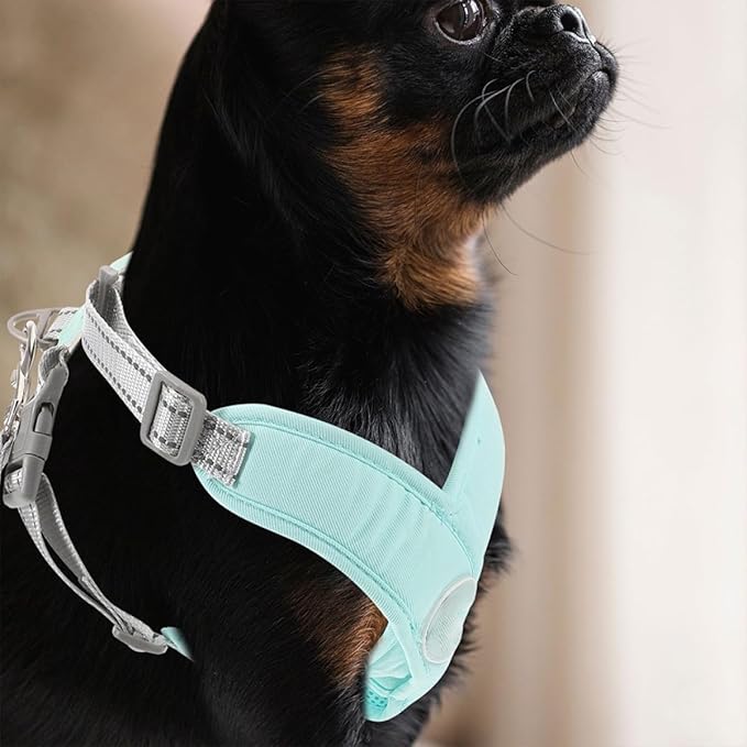 Adjustable Green Dog Vest Harness Reflective Straps, Wear-Resistant Puppy for Outdoor Walking and Training, Large Size Pet Supply
