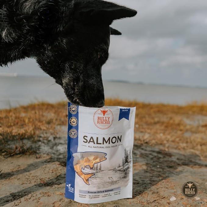 Bully Bunches Freeze Dried Salmon Dog Treats – Made in USA, Human Grade, All Natural Training Treats for Dogs, High Protein Salmon Bites, Healthy Dog Snacks, Grain Free, 3.53 oz