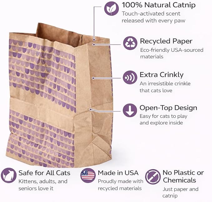 Catnip Infused Crinkly Paper Bag Cat Toys - All Natural & Recycled Materials - Made in USA - Interactive Hide and Seek for Indoor Cats and Kittens - (1-Bag, Catnip)