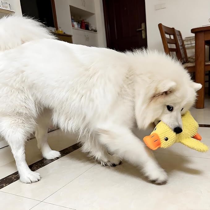 Durable Quacking Duck Dog Toy - Interactive Plush Chew Toy for Anxiety Relief & Fun Play with Cats & Dogs, Pets Only (Yellow, Medium)