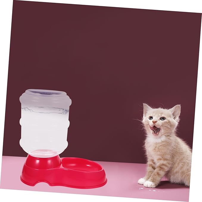 Cat Automatic Feeding Device Pet Food Bowl Water Basin Drinking Fountain Safe Easy to Clean