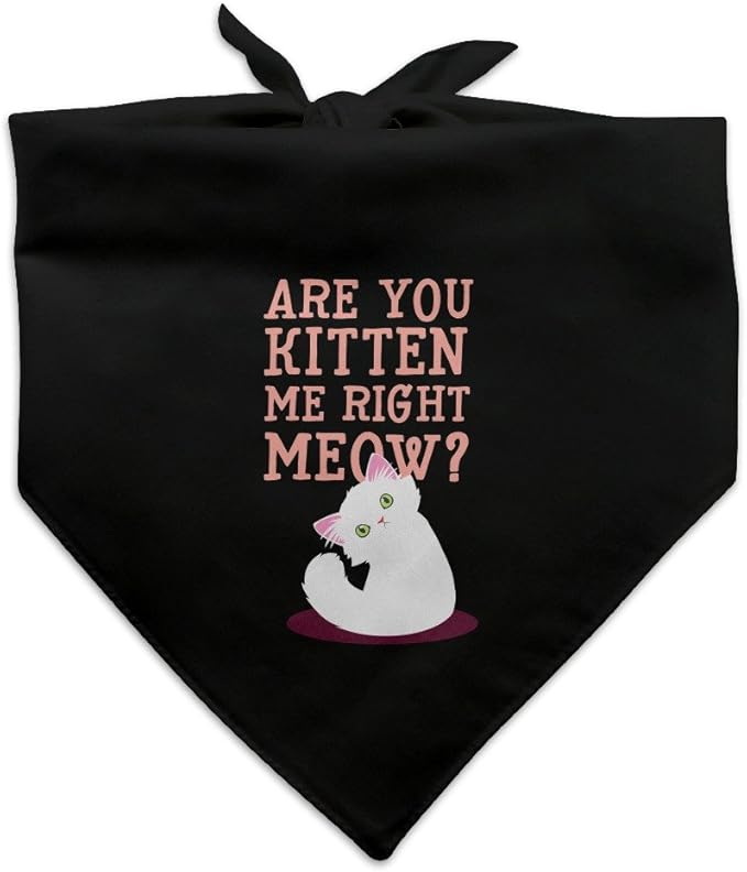 GRAPHICS & MORE are You Kitten Me Right Meow Cat Dog Pet Bandana
