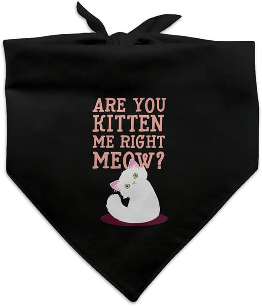 GRAPHICS & MORE are You Kitten Me Right Meow Cat Dog Pet Bandana