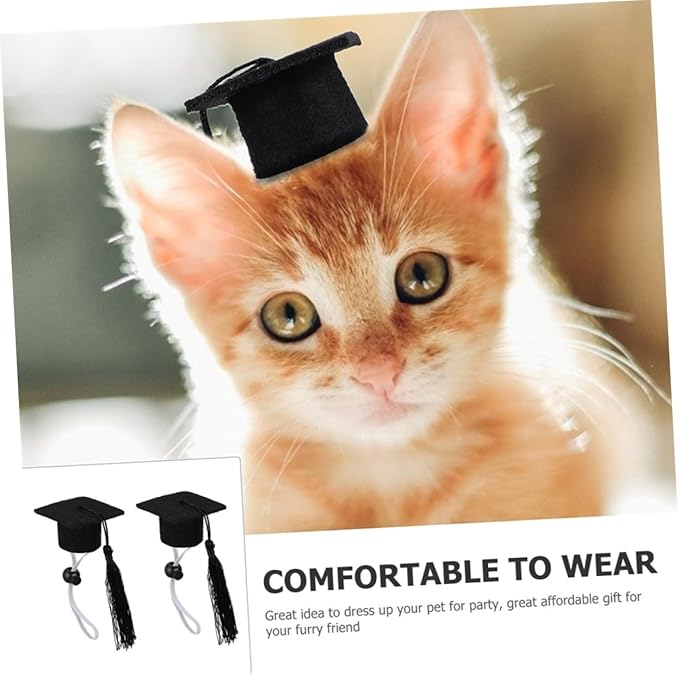 SHINEOFI 2pcs Adjustable Black Tassel Doctoral Caps Elastic Graduation Hat for Dogs, Creative Pet Party Supply and Decorative Graduation Costume Accessories