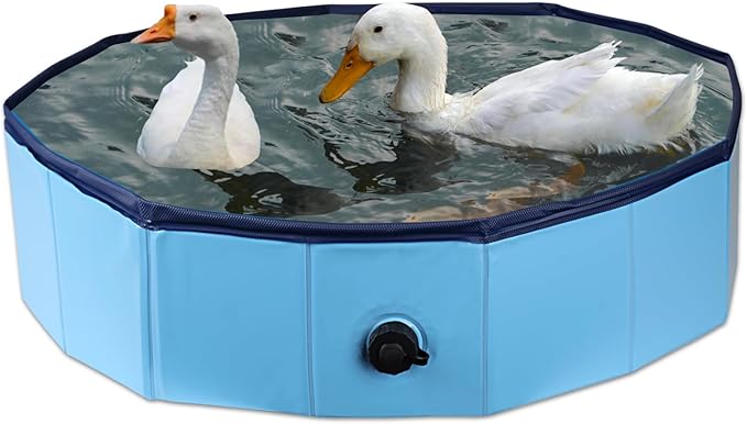 Foldable Duck Pool, Portable Hard Plastic Duck Pond Tub, Collapsible Duck Pools for Pet Ducks, Dogs and Cats – Indoor & Outdoor Use, Hard Shell, Easy to Clean and Store