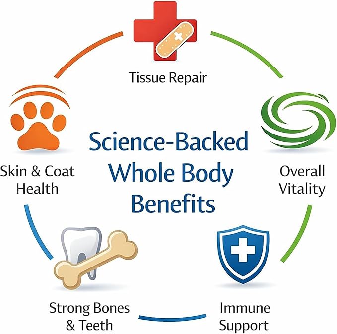 Dr. Goodpet Canine Digestive Enzymes Powder for Dogs – Supports Healthy Digestion, Gas Relief & Nutrient Absorption – Human-Grade Enzymes (Protease, Amylase & Lipase) – 7oz Digestive Supplement