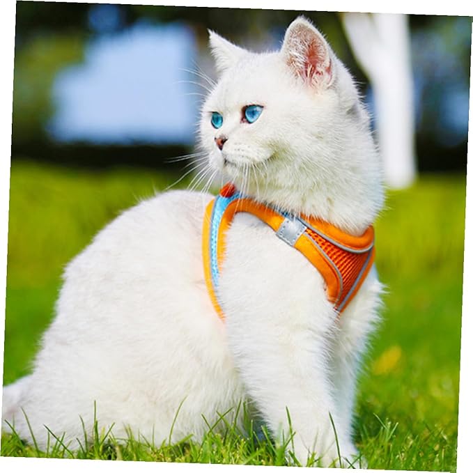 Pet Dog Vest Harness with Reflective Stripes Breathable Mesh Medium Size for Walking Puppies and Cats, Adjustable Chest Strap Leash Pet Supply