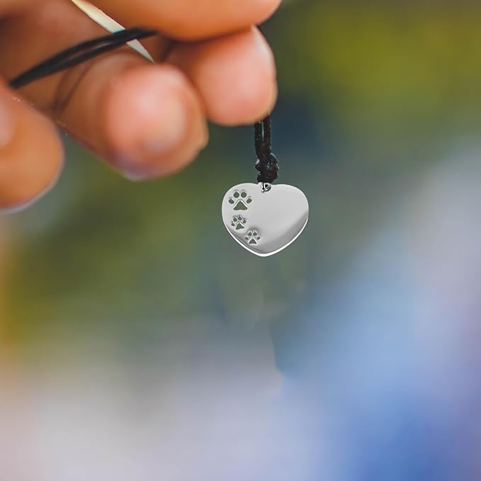 Kichvoe 10pcs Silver Stainless Steel Dog Id Tags Blank Pet Name Tags for Small Dogs Collar Accessories Sturdy Pet Supplies