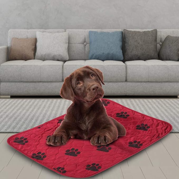 Reusable Dog Pee Pad, Absorbent Pet Urine Mat for Dogs and Cats, 4 - Layer Machine Washable Mat with Barrier for Hard Floors, Print Design in (40 * 60cm)