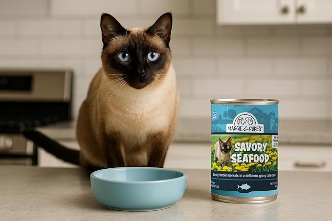 CountryMax Maggie and Duke’s Canned Cat Food – 14 oz – High-Protein, Grain-Free Wet Food for Adult Cats & Kittens (Case of 24 Cans, Savory Seafood)