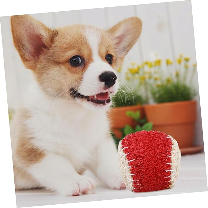 Hemoton 2pcs Pet Chew Natural Loofah Tennis Balls Sturdy Dog Chew for Puppy Training Interactive Dog Ball Chewing Supplies Random Color