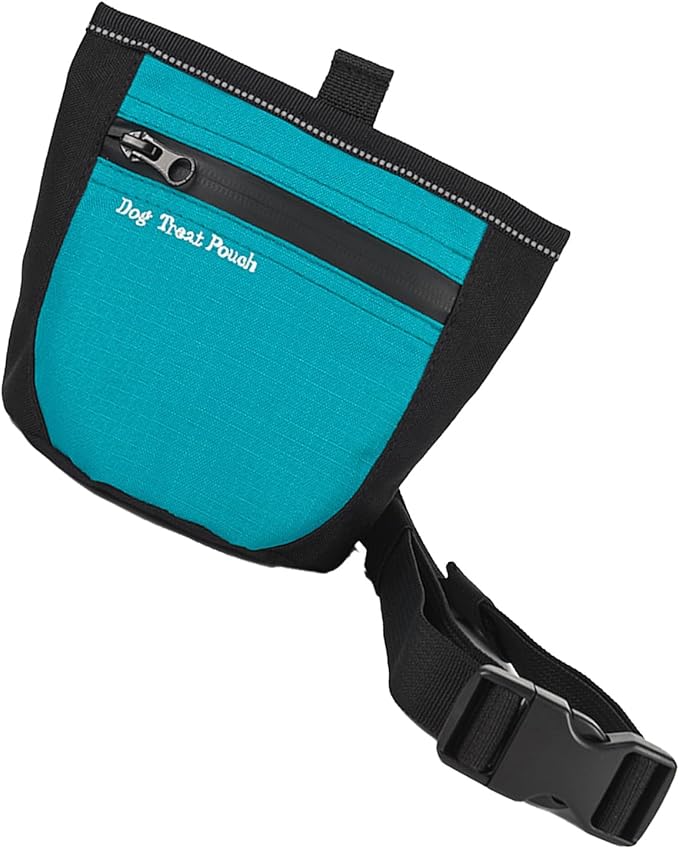 Portable Pet Training Waist Bag Treats Bag for Outdoor Walking Running Use with Zippered Pocket and Adjustable Belt Dog Gear Pet Supply Dog Gear