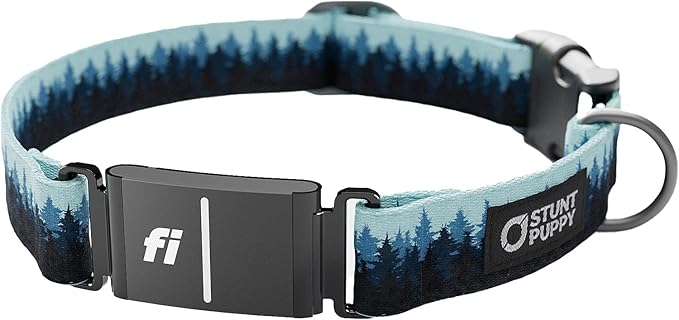 Stunt Puppy Dog Collar, Fi Series 3 and 3+ Ready, Pine Blue, Medium - Compatible with Fi GPS Device (Not Included)