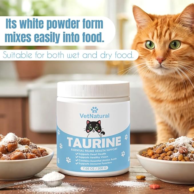 KittySupps Taurine Supplement for Cats – 99.99% Pure Taurine Powder – Supports Daily Nutrition & Overall Wellness – Easy to Mix in Food, Includes Measuring Spoon