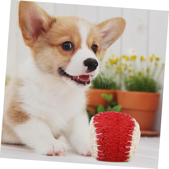 2pcs Natural Loofah Pet Chew Tennis Balls for Dogs Sturdy Puppy Training Supplies Interactive Outdoor Play Random Color