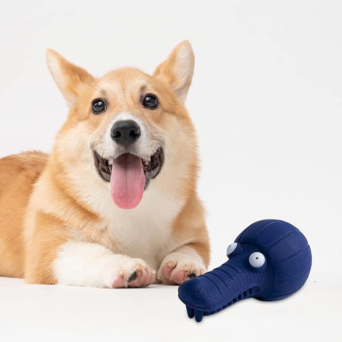 Dog Squeaky Toy Interactive Toy Cleaning Molar Pet Supplies