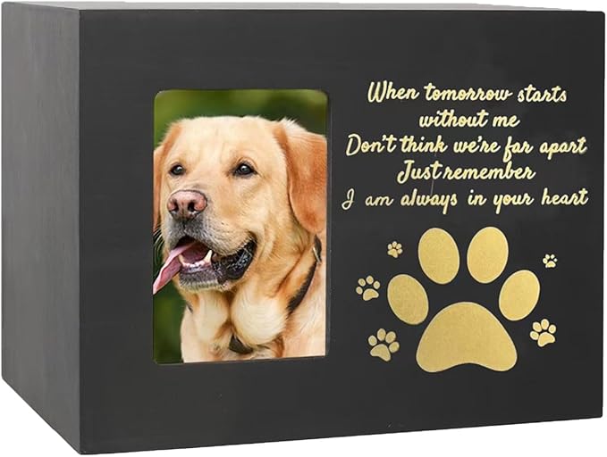 Dog and Cats Ashes Container Pet Container with Resin Angelic Figurine and Personalizing Memorial Feature Supply Box for Cats and Dog
