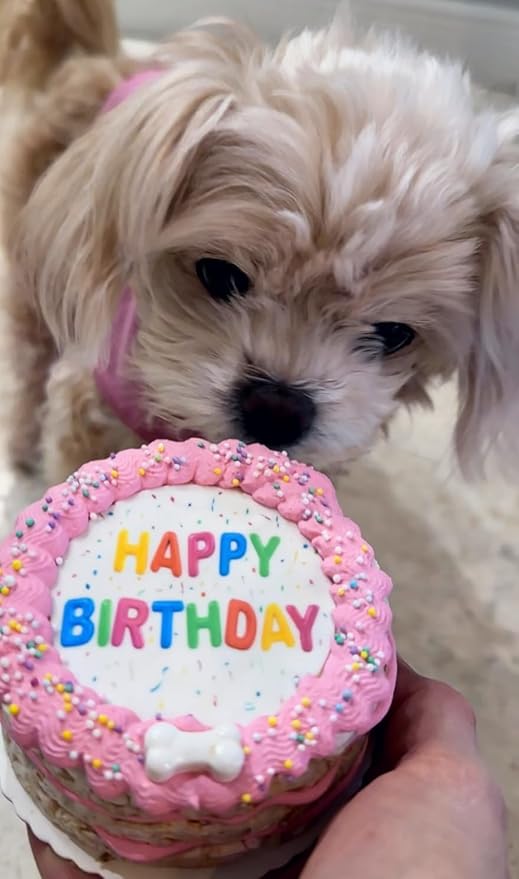 Crispy Vanilla Pink Dog Birthday Cake- Edible Puppy Party Crispy Vanilla Rice Cake-