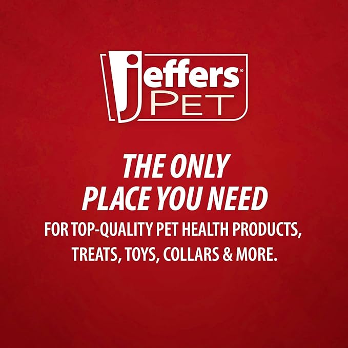 Jeffers Pet Apple Oatmeal Natural Shampoo for Dogs Cats Puppies Kittens, 17 Oz – Tearless Hypoallergenic Oat Based Grooming Shampoo for Sensitive Skin, Coat Hydration, Shine, Soap & Detergent Free