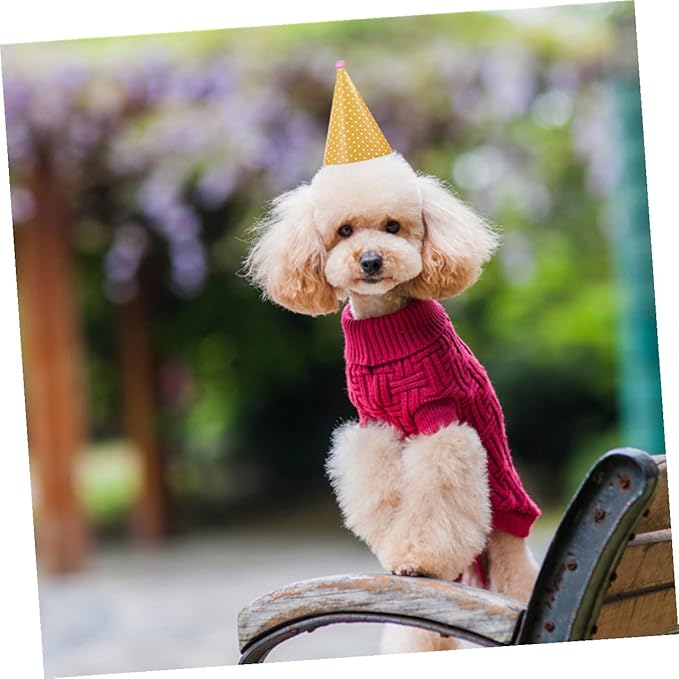 FRCOLOR Dog Birthday Hat and Bib Set, 9 Party Hats with 1 Saliva-Absorbent Bandana, Pet Birthday Decoration Supplies for Small to Medium Dogs Random Color