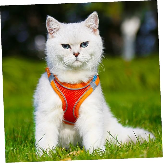 BESPORTBLE Pet Harness and Leash Set with Reflective Strips, Breathable Mesh Dog and Cat Vest Harness Xs, Dual-Color Orange, Lightweight Pet Supply for Puppy and Kitten Walking