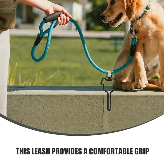 Dog Poop Bag Holder for Leash with Clip 2pcs Waste Bag Carrier for Pet Supplies Hands-free Dog Walking Accessory in Deep Black and Cats