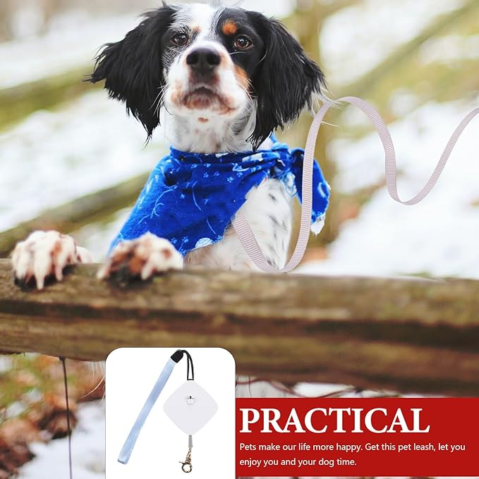 Retractable Dog Leash Nylon Pet Supply Automatic Telescopic Mini Leash for Small Dogs Walking Training Random Color