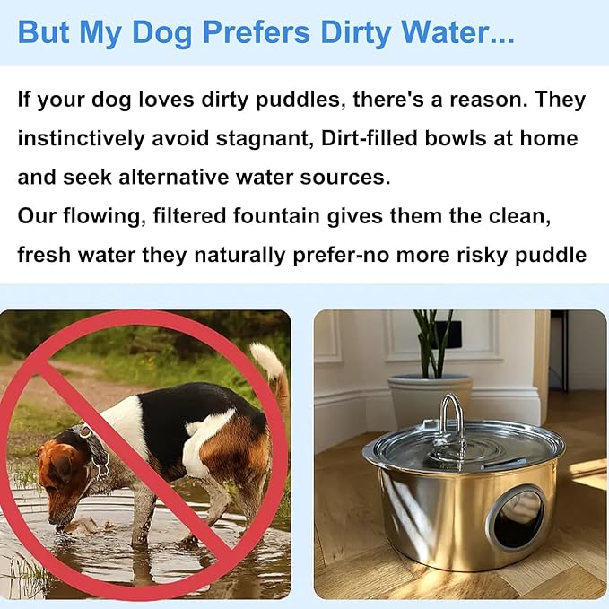 Pawdrate Dog Water Fountain, 3.2L/108oz Filtered Dog Water Bowl Dispenser, Wired Automatic Circulating Quiet No Spill Water Bowl with Quadruple Filtration for Small Dogs & Cats (2 Filters, 3.2L)