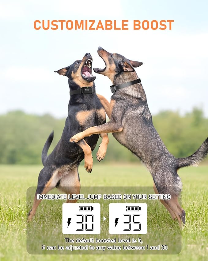 Petory Dog Training Collar - 3300FT Dog Training Collar with Remote, IPX7 Waterproof Electric Dog Collar with 4 Training Modes, Security Lock, Rechargeable eCollar for 15-120lbs Medium Large Dogs