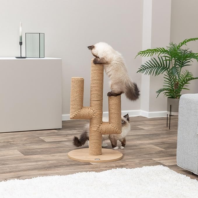 Trixie Neo 27" Scratching Post - Cute Cactus Cat Tree Designed with Extra Thick Jute - Indoor Small Cat Scratcher Furniture