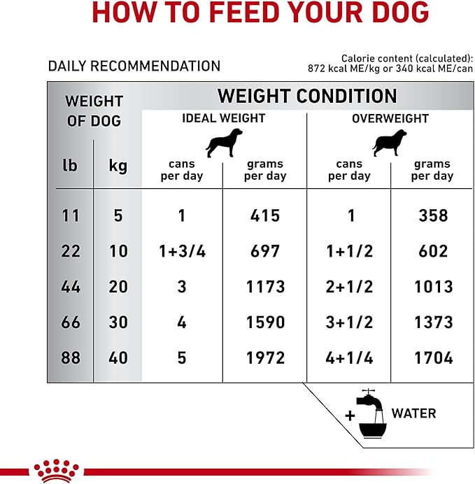 Royal Canin Veterinary Diet Canine Hydrolyzed Protein Adult Loaf Dog Food, 13.7 oz (Pack of 24)