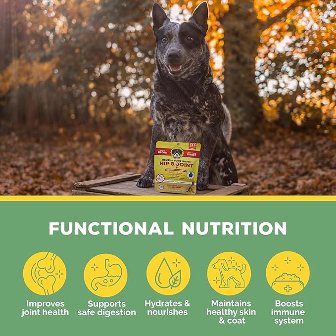 Brutus Broth Dog Food Topper - Instant Bone Broth Powder for Dogs - Supports Hip and Joint Function - Human-Grade Quality - Serve Dry or Wet - Chicken Flavor - 3.5 oz Pack (Makes 130 oz with Water)