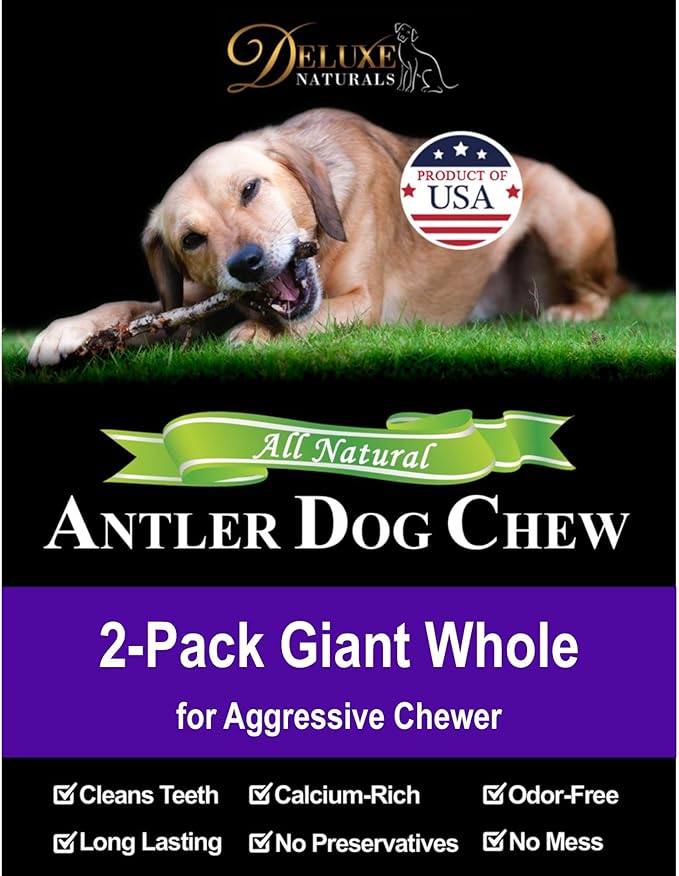 2-Pack Giant Whole Elk Antler Dog Chews for Large to Giant Dogs Over 60 lbs (6-10 Inch) | Heavy Chewer Dog Toys | Long Lasting Natural Bones for Aggressive Chewers
