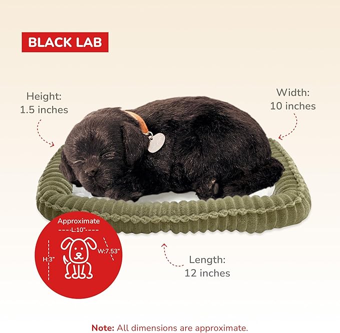 Perfect Petzzz - Original Petzzz Black Lab, Realistic, Lifelike Stuffed Interactive Pet Toy, Companion Pet Dog with 100% Handcrafted Synthetic Fur
