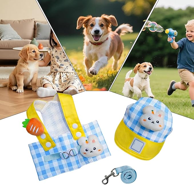 No Pull Dog Harness | Pet Accessories With Hat - Dog Training Harness Vest Leash | For Puppies Daily Outdoor Activities Including Shopping Running