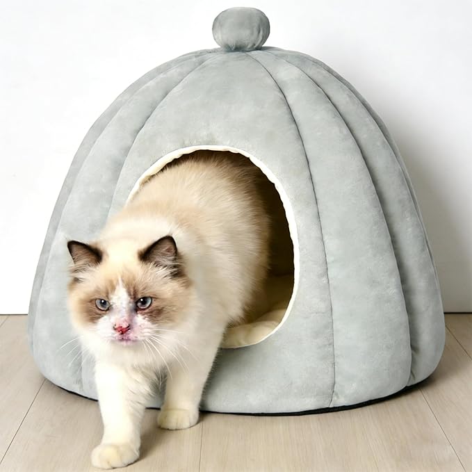 Cat Bed for Indoor Cats - Adorable Cozy Pumpkin Cat Cave with Removable Cushion, Super Soft Pet House Tent for Kittens & Small Pets, Warm & Washable Non-Slip Design(S 15 inch, Light Gray)