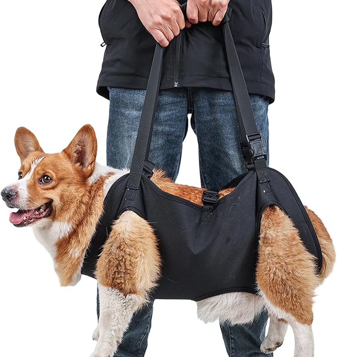 Dog for Large Leg Lift Harness for Injured Elderly Dogs Disabled Pet Supplies Lift Harness