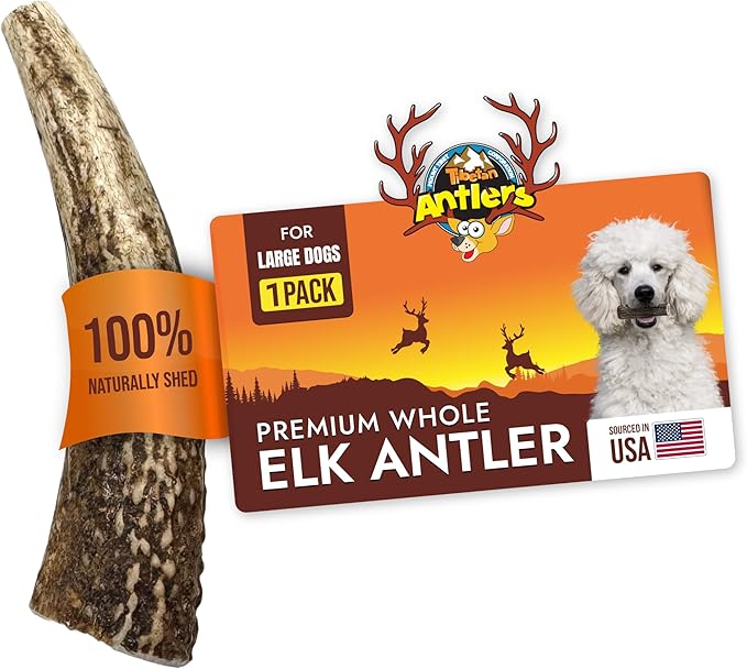Tibetan Elk Antler for Large Dogs, Grade-A, Premium Chews, Naturally shed Healthy & Longer Lasting Aggressive chewers, USA Product Split Antler (Whole)