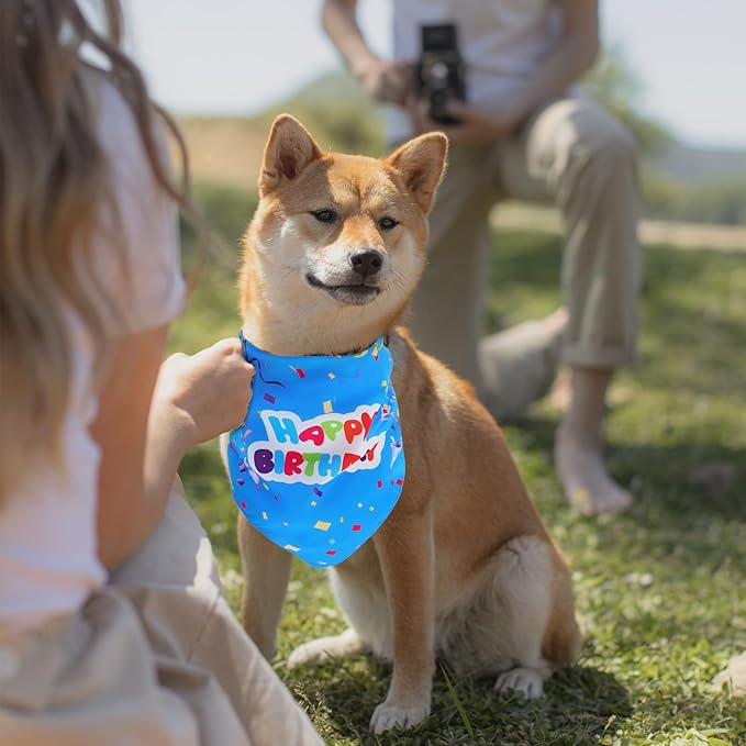 2pcs Birthday Dog Bandanas Triangle Scarves Pet Saliva Towels Colorful Blue Pink Puppy Bibs for Dog Birthday Party Supplies