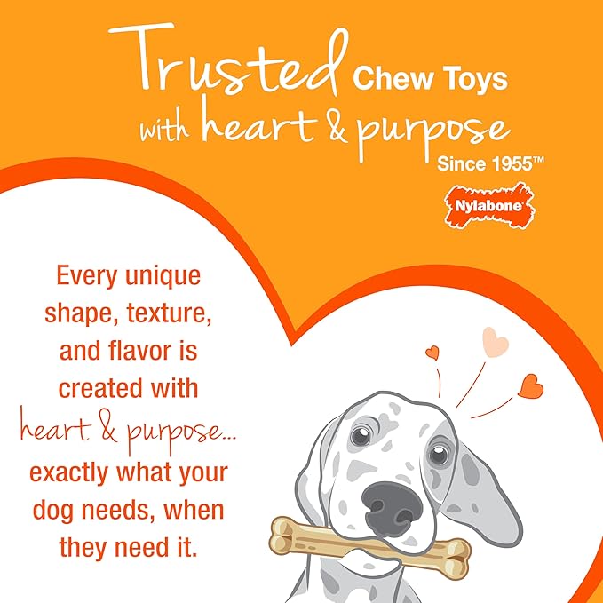 Nylabone Ring Bone Puppy Chew Toy for Puppies, Soothing Teething Toys for Puppies, Puppy Enrichment Toys, Long Lasting Chicken Flavor, For Medium Dogs - Up to 35 lbs, 1 Count