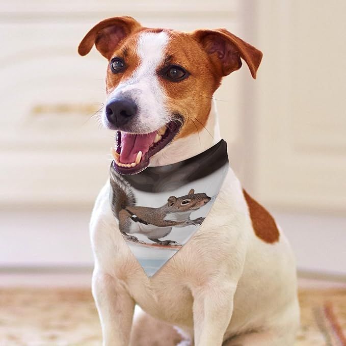 Dog Bandana Spring Pet Scarf Adjustable Triangle Skiing Squirrel Printing Dog Bib Washable Polyester Puppy Bandana for Small Medium Large Dogs Cat Birthday Party Supplies