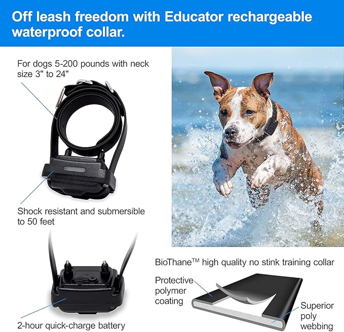 Educator PF-1000-BK E-Fence Underground Fence Containment System for Dogs Installed by You with Boundary Kit