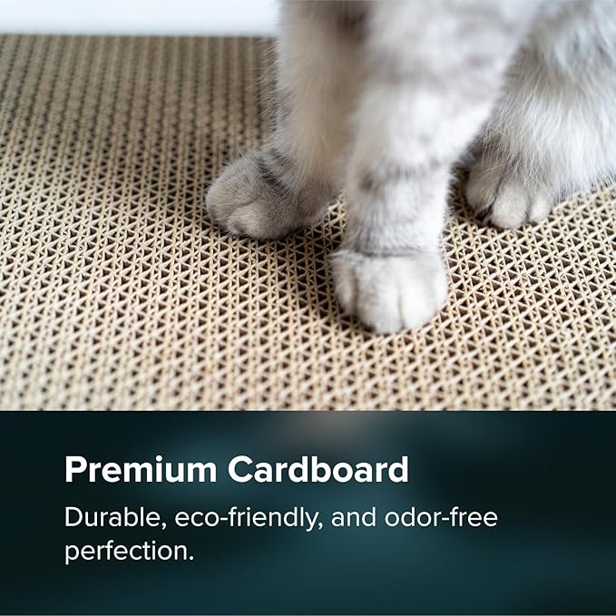 360° Cardboard Cat Scratcher Tunnel & House