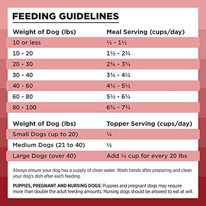 BIXBI Liberty Freeze-Dried Dog Food Topper & Treats, Beef – 98% Meat & Organs, No Refrigeration – USA Made, 4.5 oz